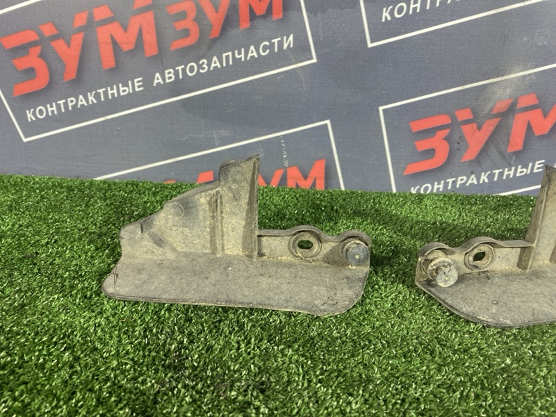 Брызговик, 1000 рублей, Солонцы