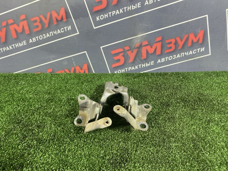 Петля (Шарнир капота), 1000 рублей, Солонцы