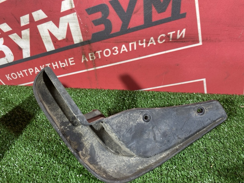 Брызговик, 2000 рублей, Солонцы