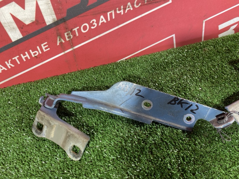 Петля (Шарнир капота), 400 рублей, Солонцы
