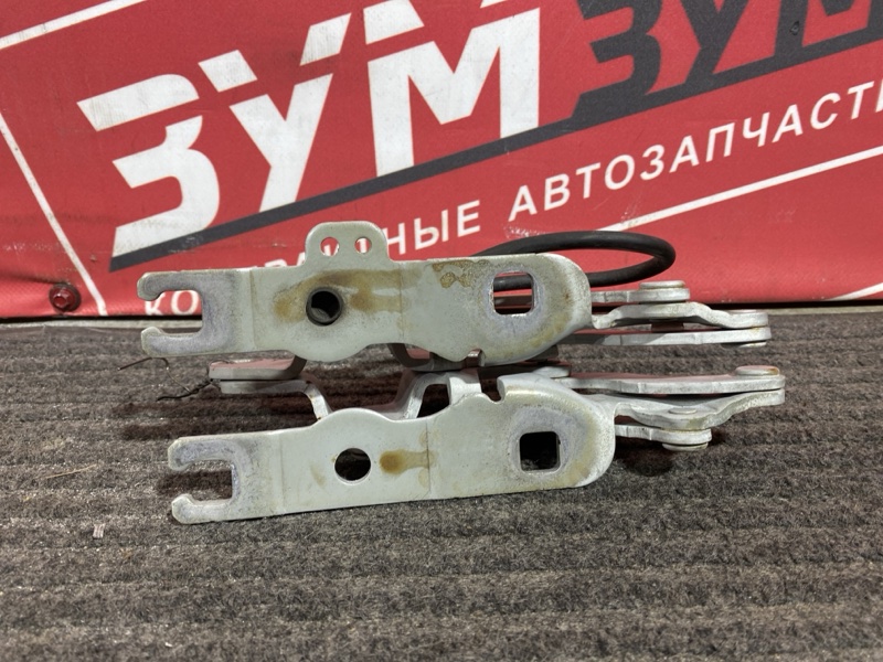 Петля (Шарнир капота), 700 рублей, Солонцы