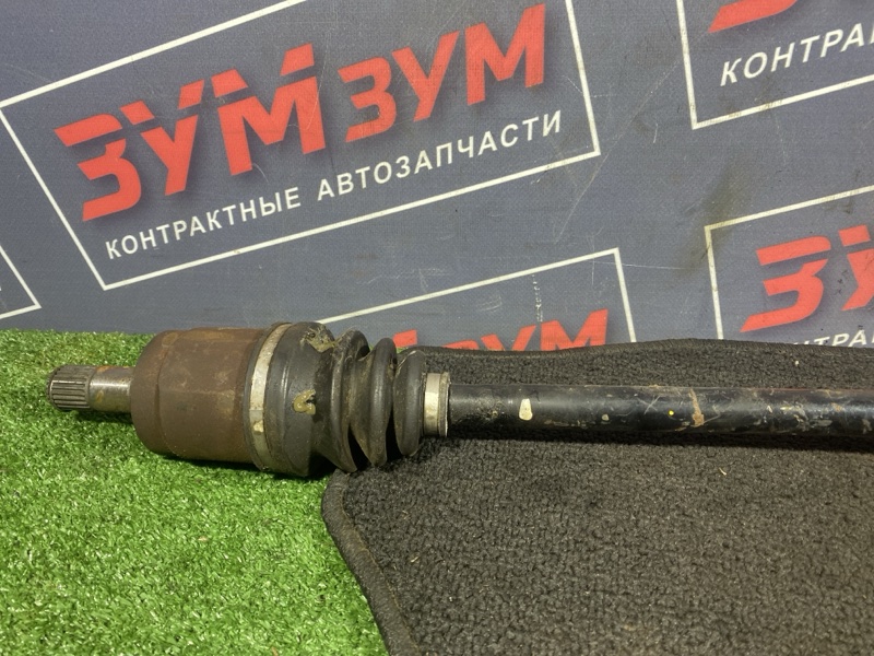 Привод, 1200 рублей, Солонцы
