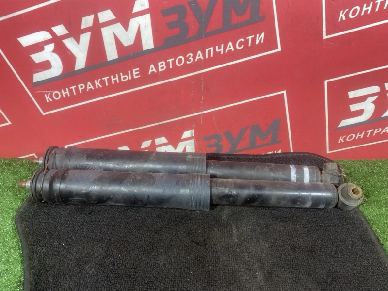 Амортизатор, 2500 рублей, Солонцы