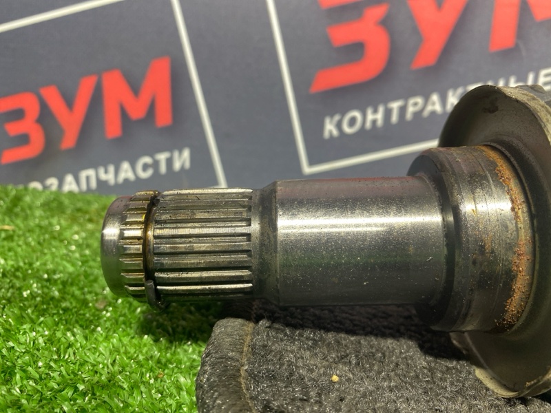 Привод, 4000 рублей, Солонцы