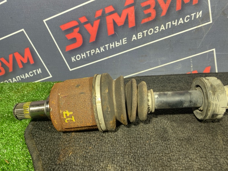 Привод, 8000 рублей, Солонцы