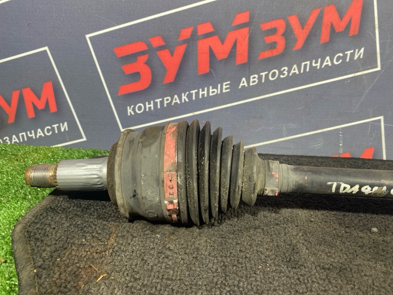 Привод, 1000 рублей, Солонцы