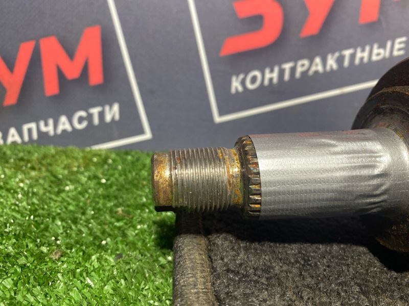 Привод, 1000 рублей, Солонцы