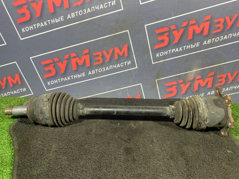 Привод, 1000 рублей, Солонцы