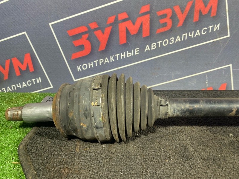 Привод, 1000 рублей, Солонцы