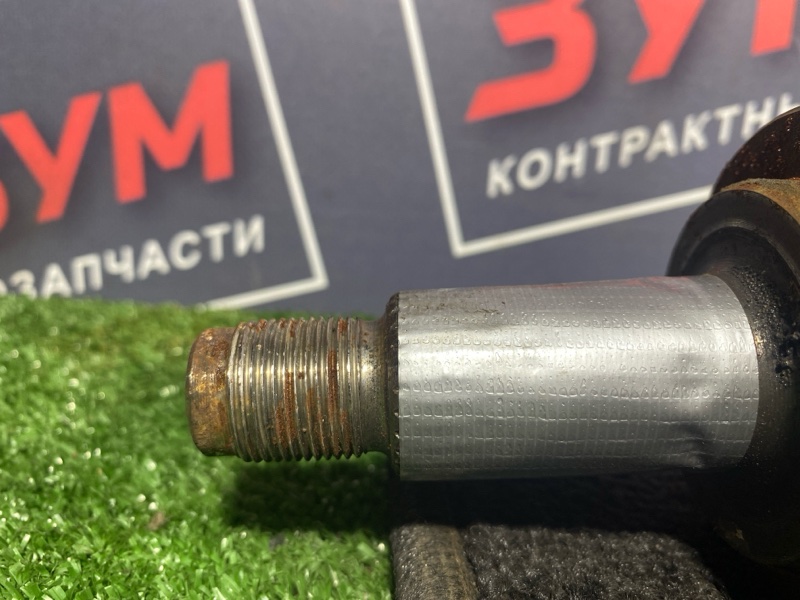Привод, 1000 рублей, Солонцы
