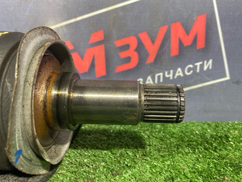 Привод, 4500 рублей, Солонцы