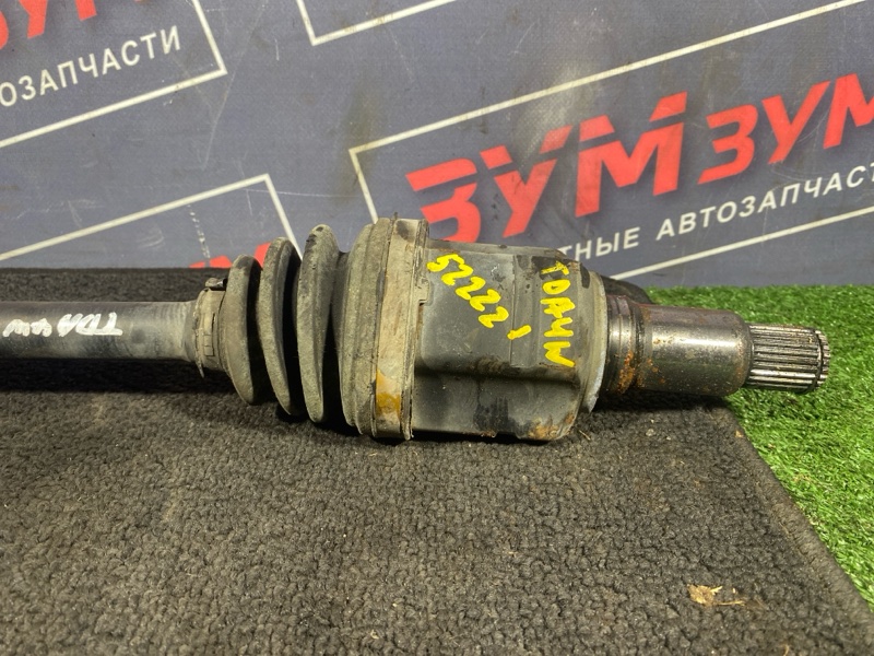Привод, 5000 рублей, Солонцы
