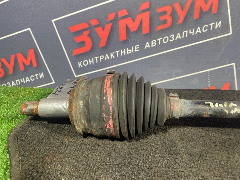 Привод, 5000 рублей, Солонцы