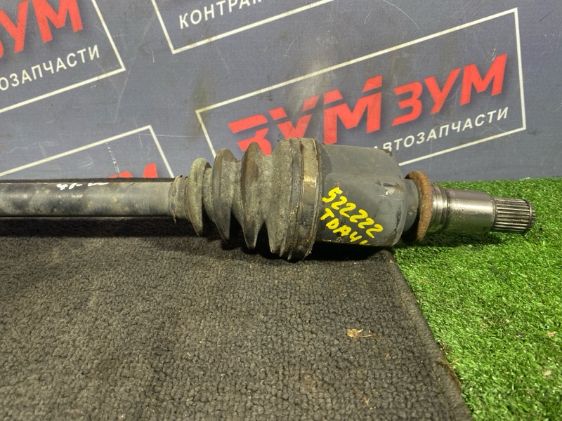 Привод, 11000 рублей, Солонцы