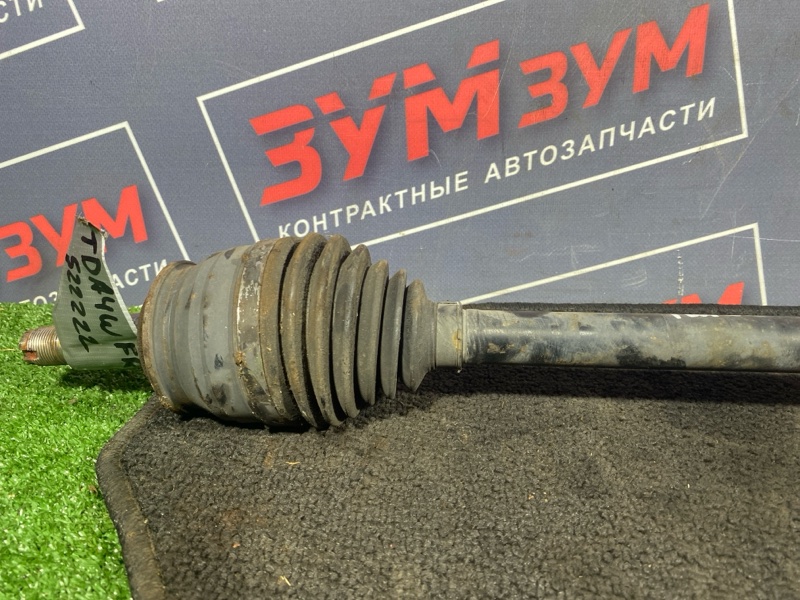 Привод, 11000 рублей, Солонцы