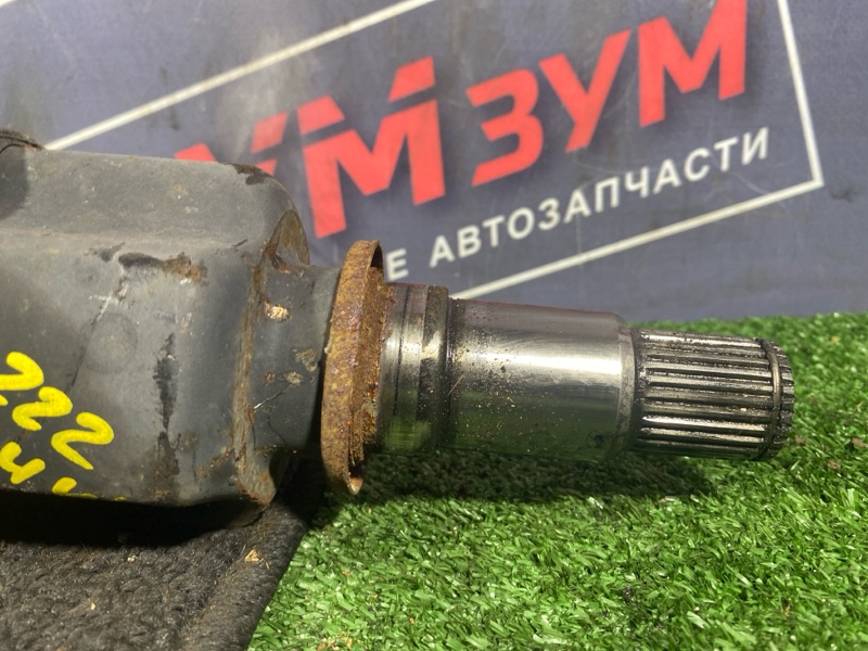 Привод, 11000 рублей, Солонцы