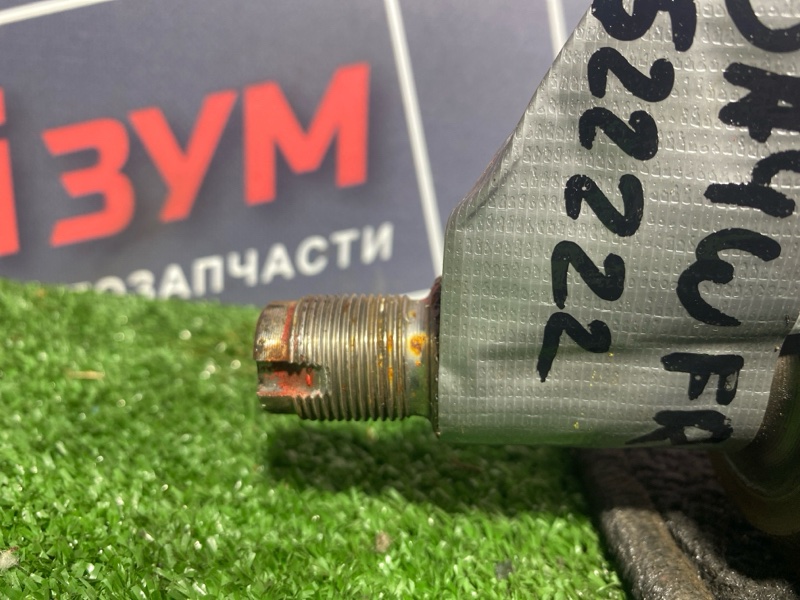Привод, 11000 рублей, Солонцы