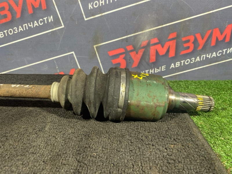Привод, 3500 рублей, Солонцы