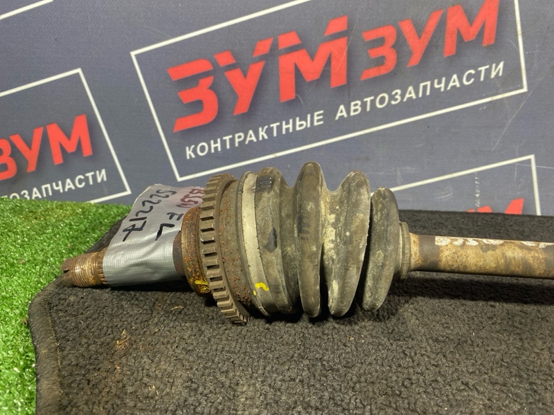 Привод, 3500 рублей, Солонцы