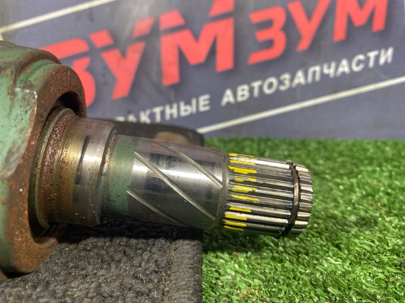 Привод, 3500 рублей, Солонцы