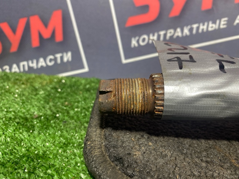 Привод, 3500 рублей, Солонцы