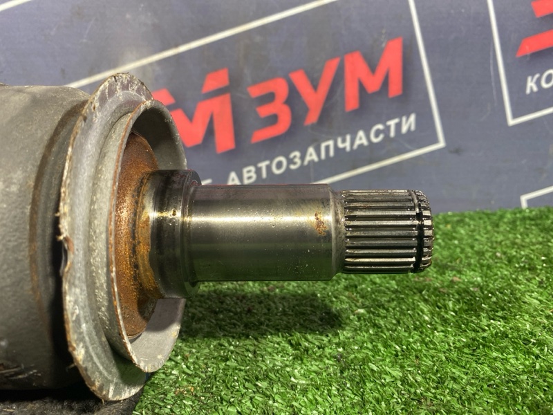 Привод, 4500 рублей, Солонцы