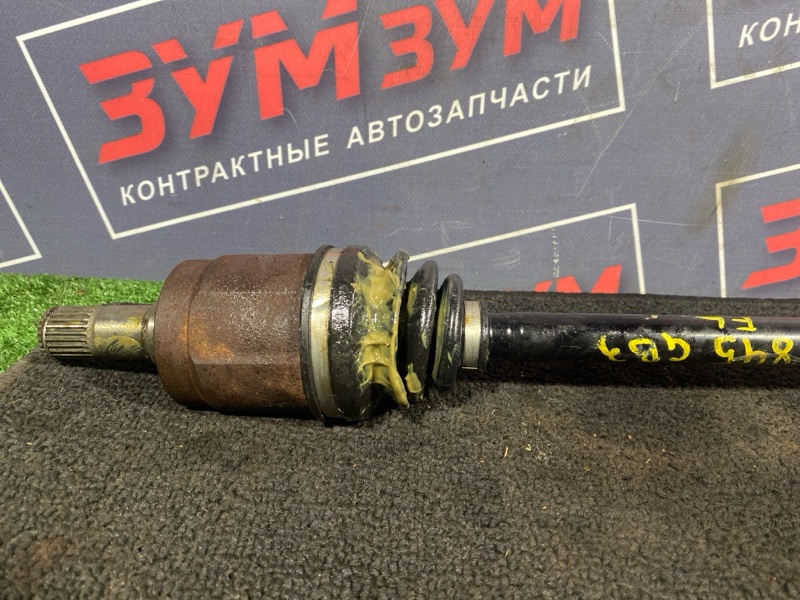 Привод, 1000 рублей, Солонцы