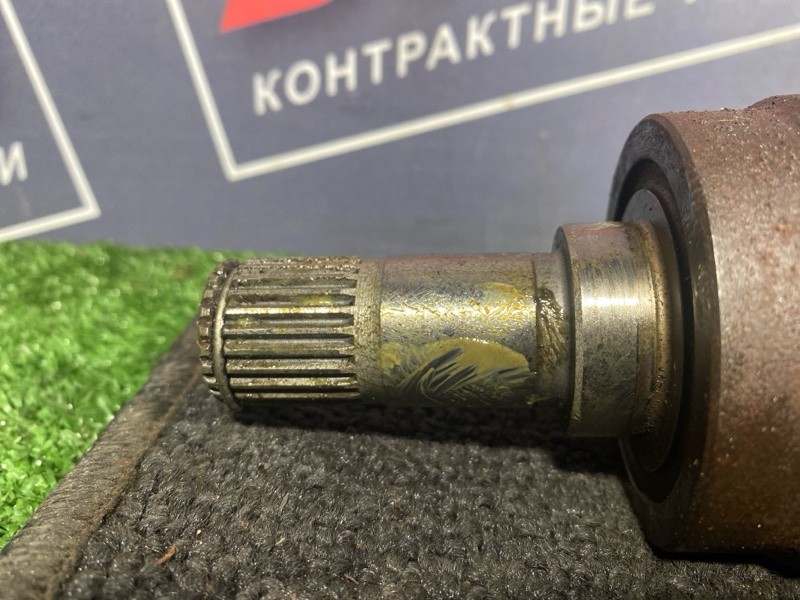 Привод, 1000 рублей, Солонцы