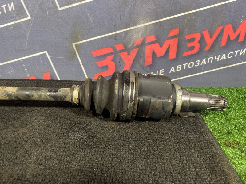 Привод, 3000 рублей, Солонцы