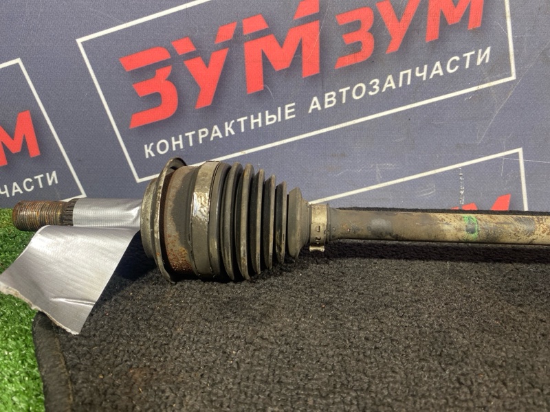 Привод, 3000 рублей, Солонцы
