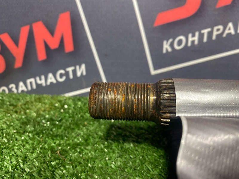 Привод, 3000 рублей, Солонцы
