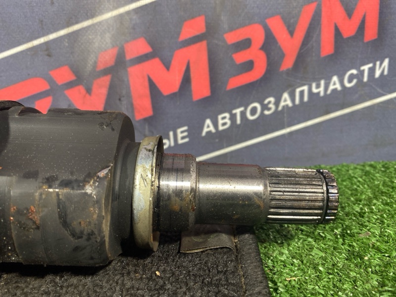 Привод, 3000 рублей, Солонцы