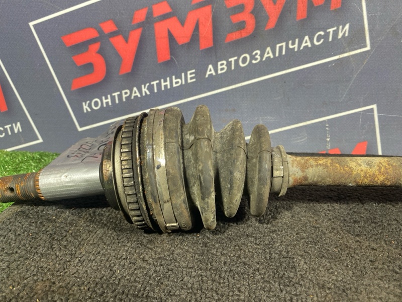 Привод, 7000 рублей, Солонцы