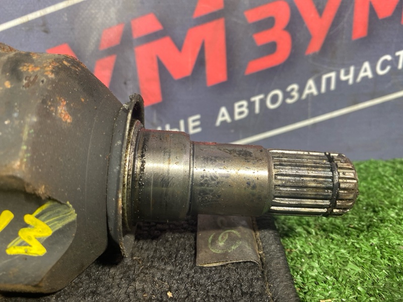 Привод, 7000 рублей, Солонцы