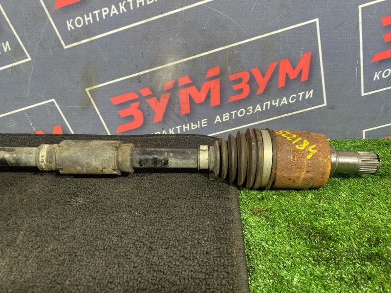 Привод, 3000 рублей, Солонцы