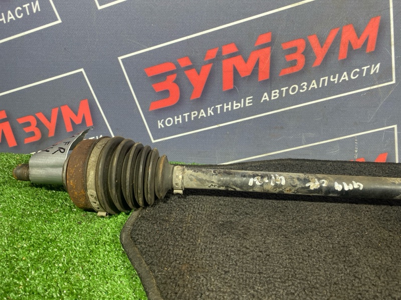 Привод, 3000 рублей, Солонцы
