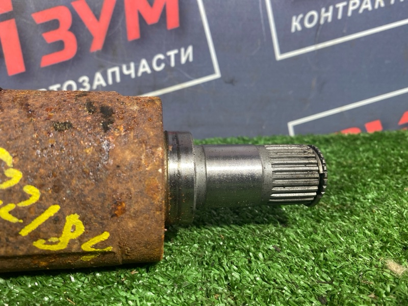 Привод, 3000 рублей, Солонцы