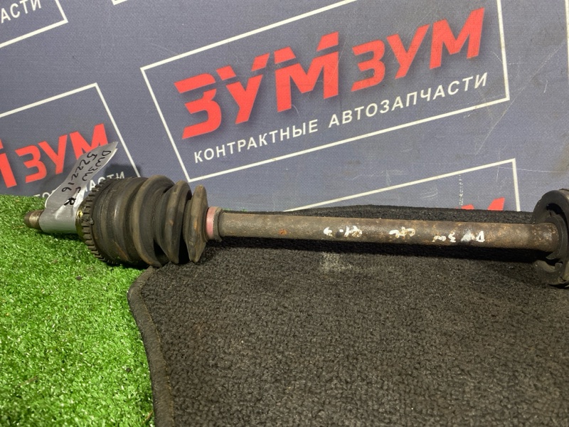Привод, 7000 рублей, Солонцы