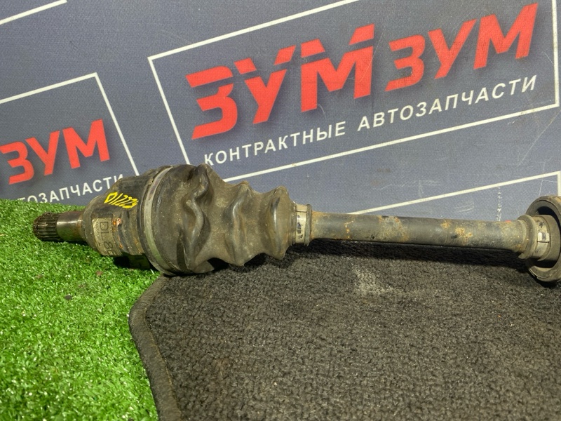 Привод, 3400 рублей, Солонцы
