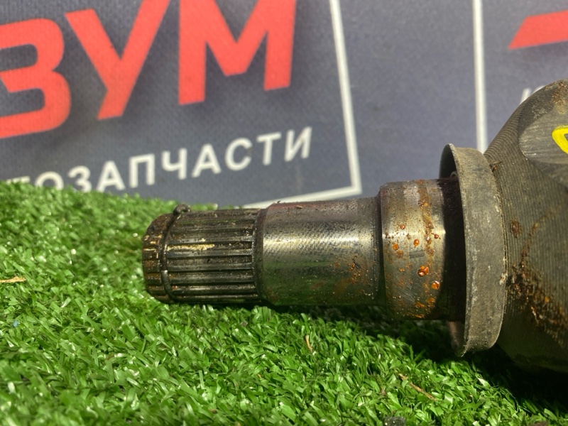 Привод, 3400 рублей, Солонцы