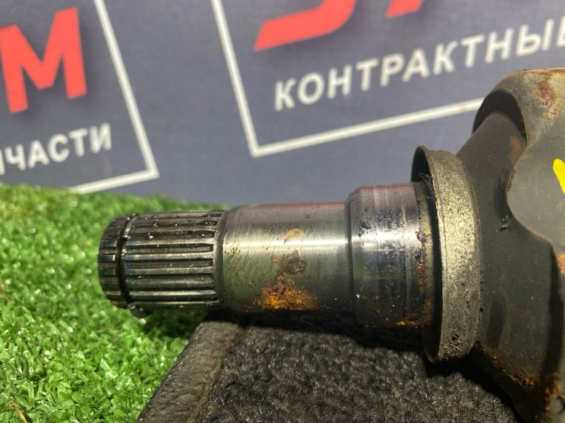 Привод, 2200 рублей, Солонцы