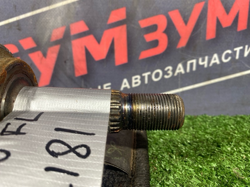 Привод, 2200 рублей, Солонцы