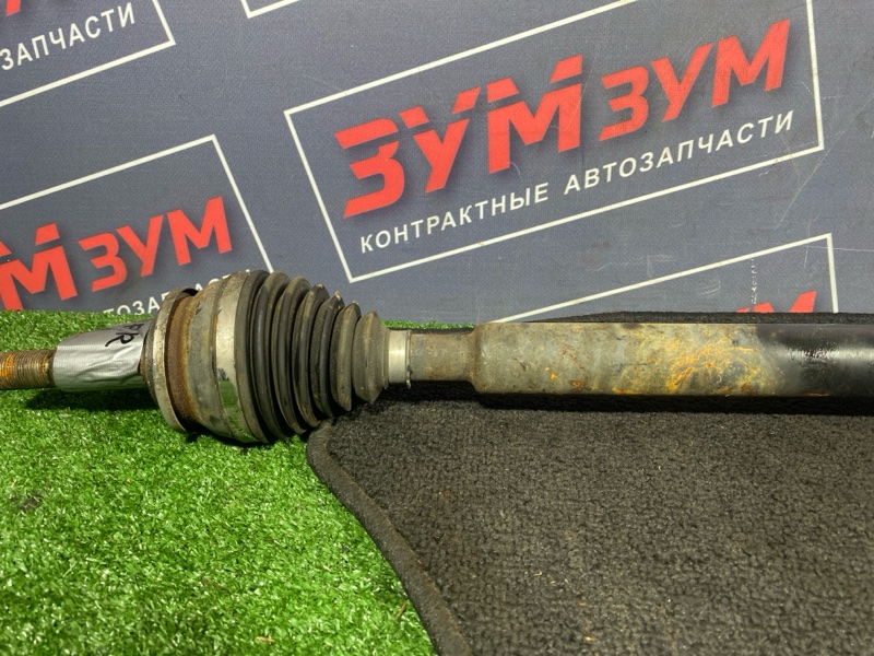 Привод, 2000 рублей, Солонцы