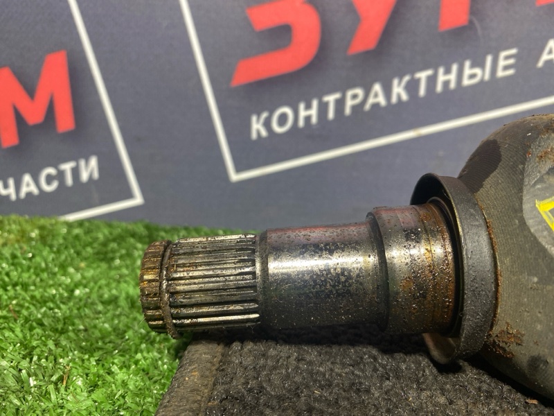 Привод, 3400 рублей, Солонцы