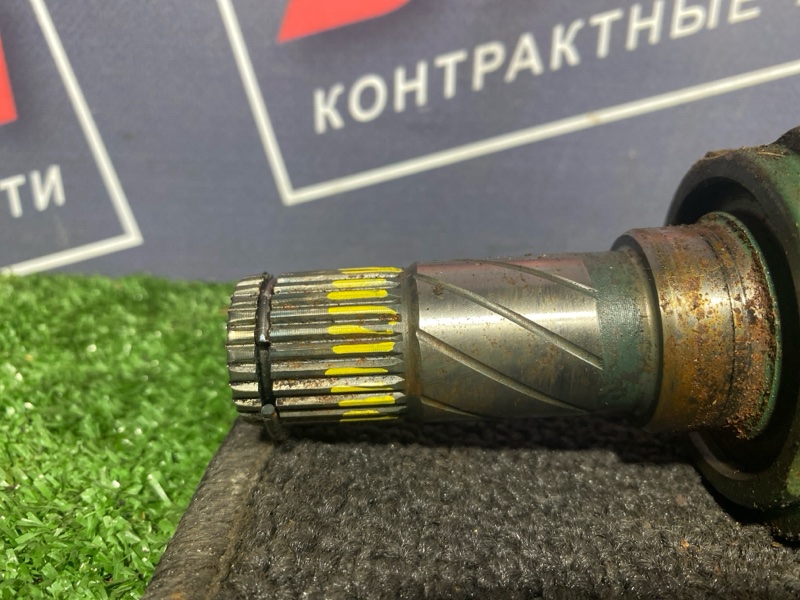 Привод, 11000 рублей, Солонцы