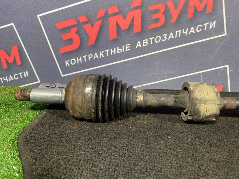 Привод, 2000 рублей, Солонцы