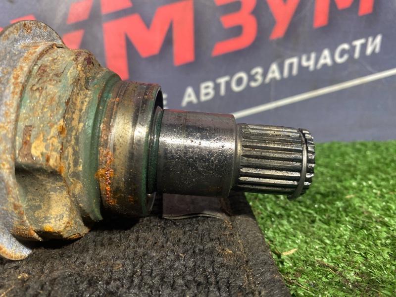 Привод, 2000 рублей, Солонцы
