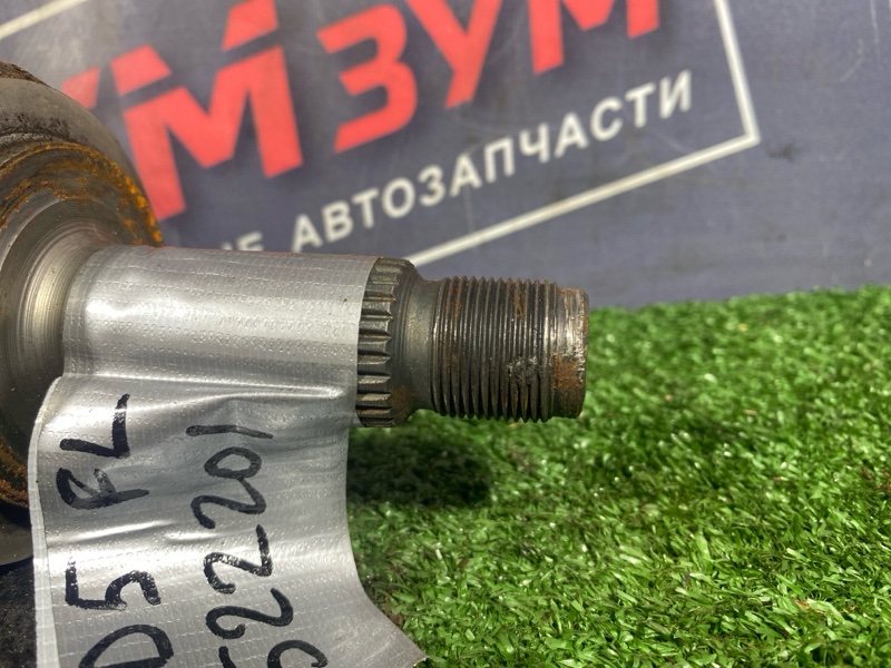 Привод, 6000 рублей, Солонцы