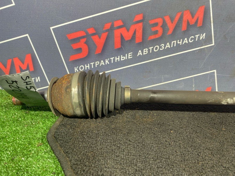 Привод, 6000 рублей, Солонцы