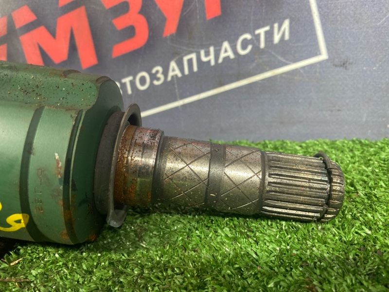 Привод, 6000 рублей, Солонцы